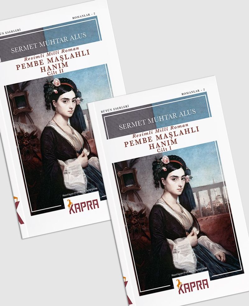 Pembe Maşlahlı Hanım (2 Cilt) kitap kapağı
