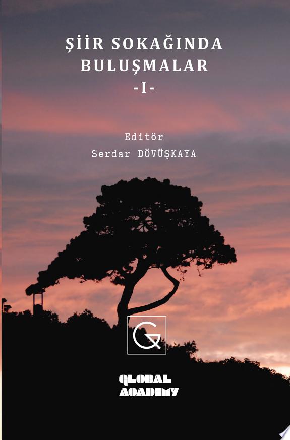 ŞİİR SOKAĞINDA BULUŞMALAR – I- kitap kapağı