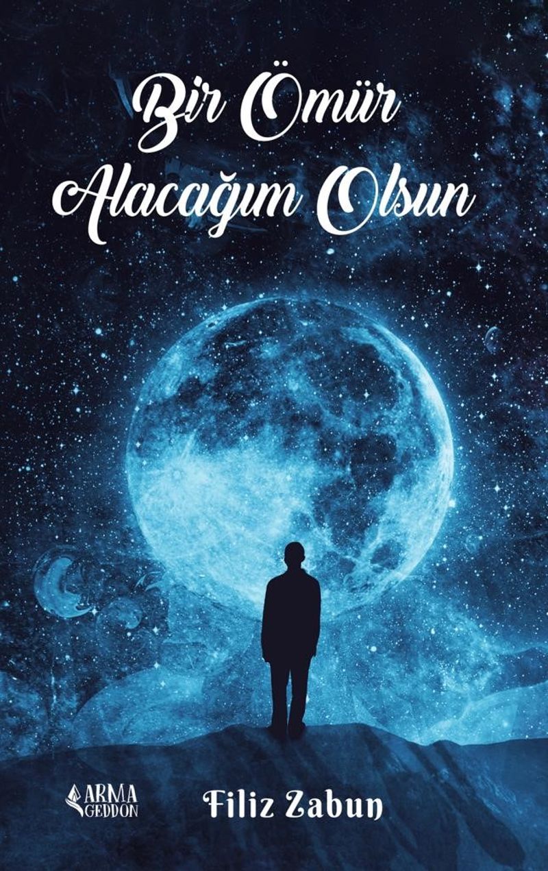 Bir Ömür Alacağım Olsun kitap kapağı