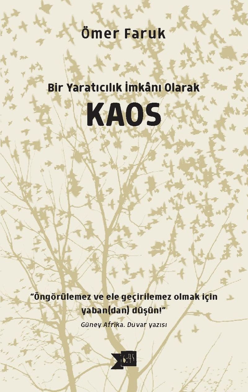 Bir Yaratıcılık İmkanı Olarak Kaos kitap kapağı