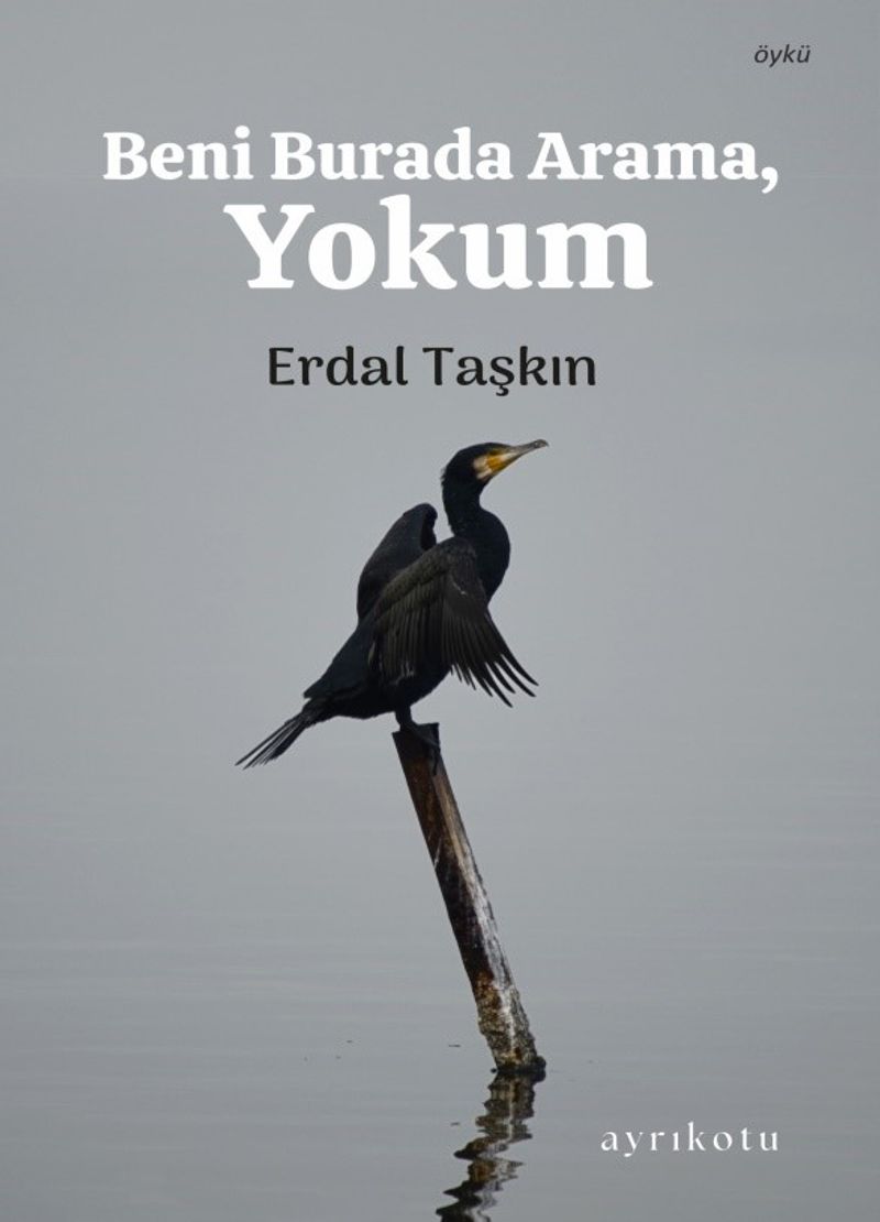 Beni Burada Arama, Yokum kitap kapağı