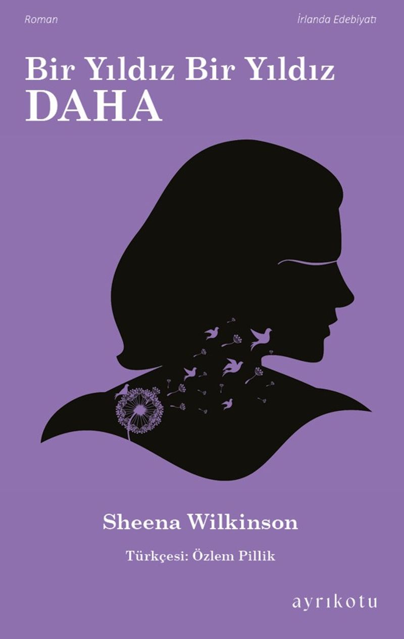Bir Yıldız Bir Yıldız Daha kitap kapağı