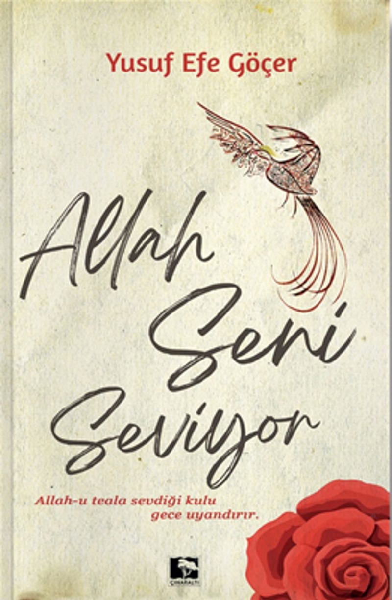 Allah Seni Seviyor kitap kapağı