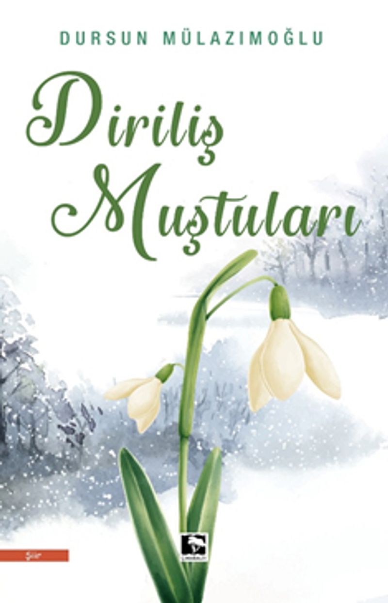 Diriliş Muştuları kitap kapağı