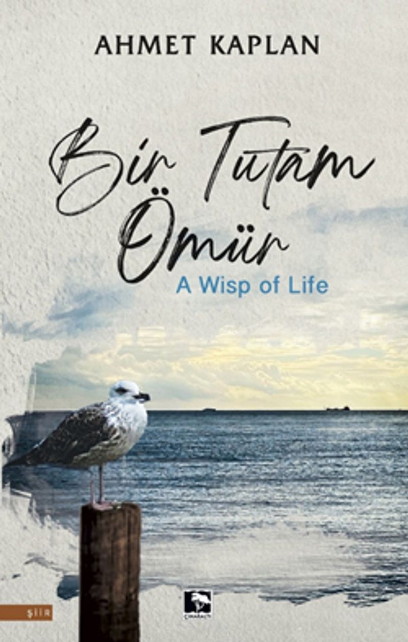 Bir Tutam Ömür kitap kapağı