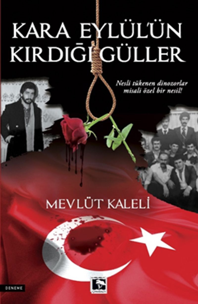 Kara Eylül'ün Kırdığı Güller kitap kapağı