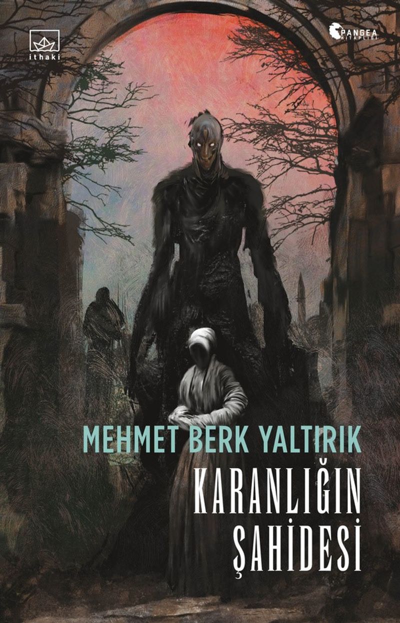 Karanlığın Şahidesi kitap kapağı