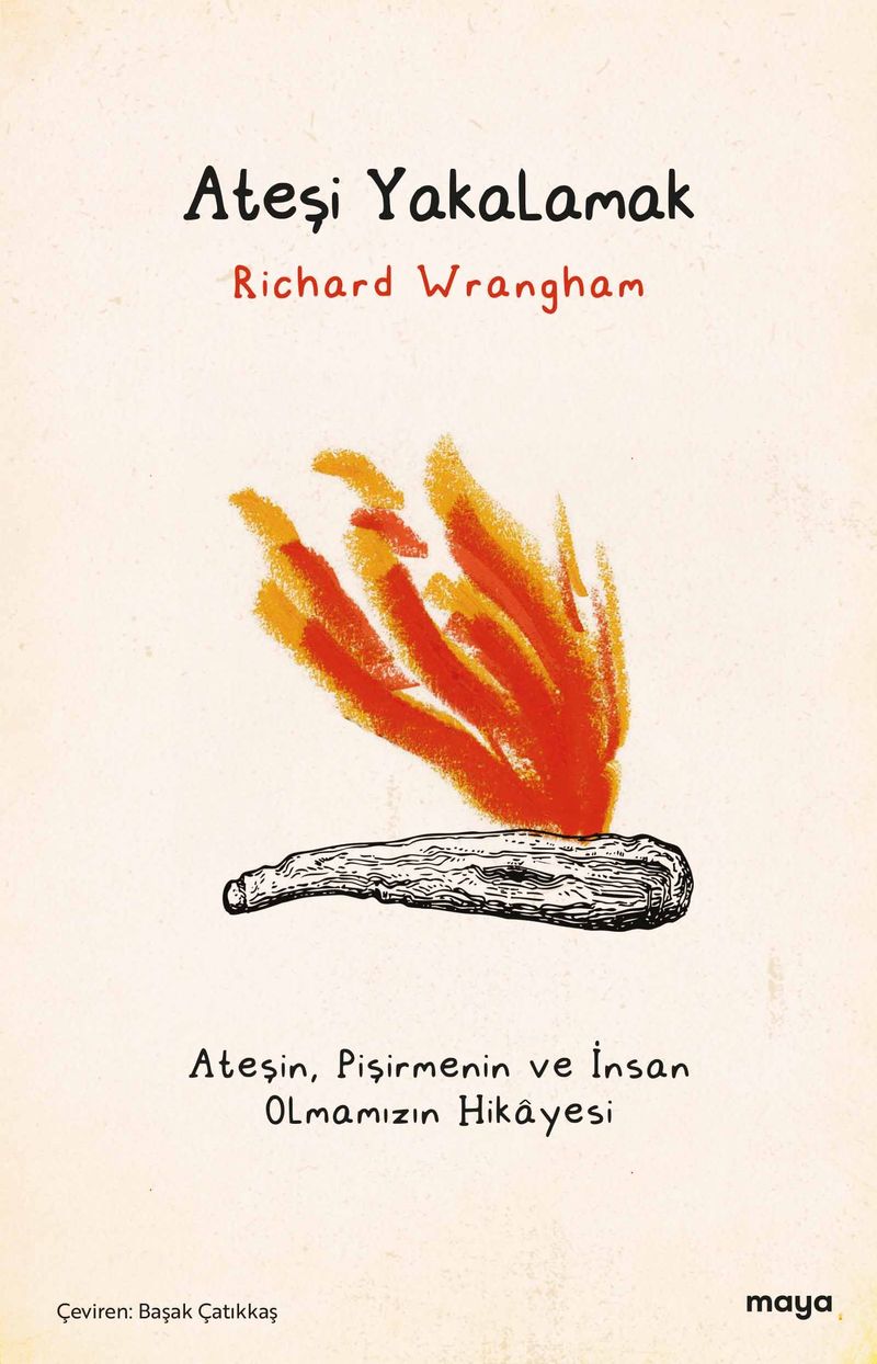 Ateşi Yakalamak kitap kapağı