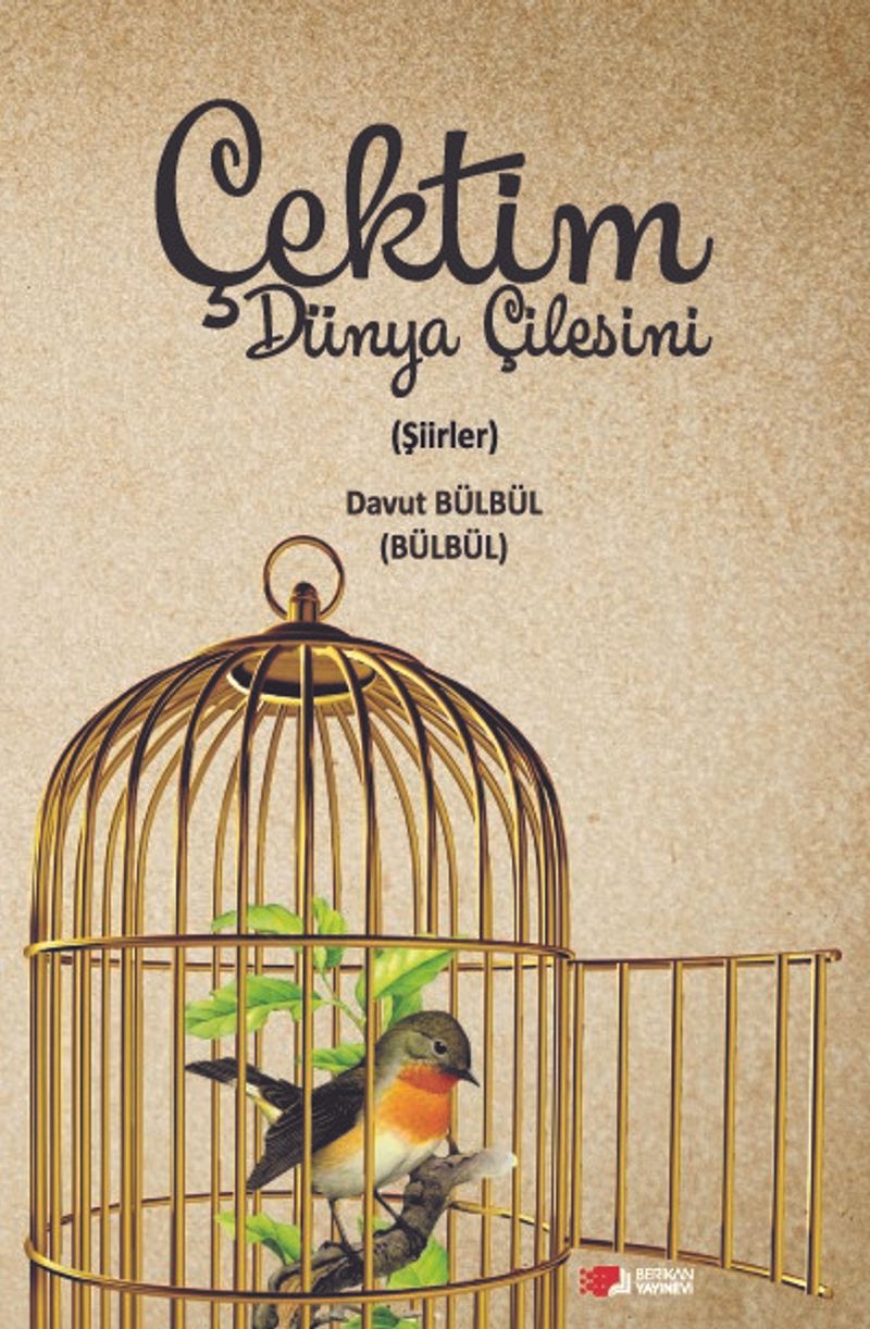 Çektim Dünya Çilesini kitap kapağı