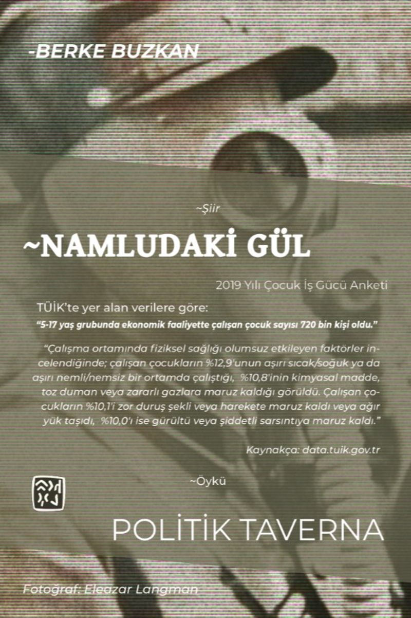 Politik Taverna kitap kapağı