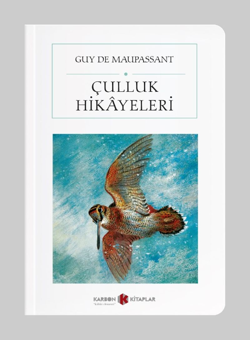 Çulluk Hikayeleri (Cep Boy) (Tam Metin) kitap kapağı