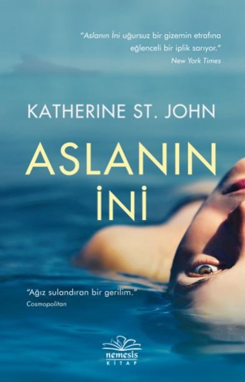 Aslanın İni kitap kapağı