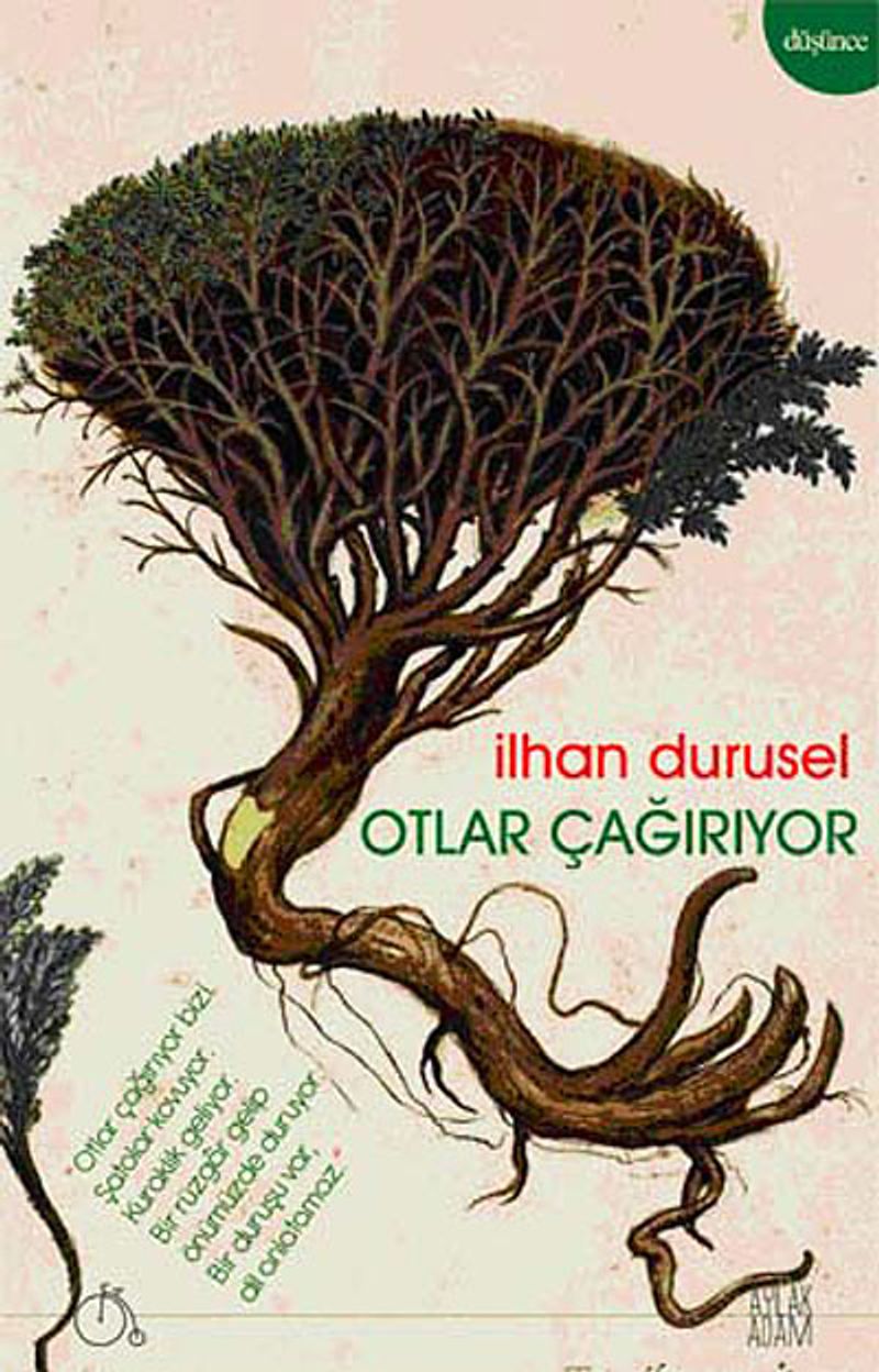 Otlar Çağırıyor kitap kapağı