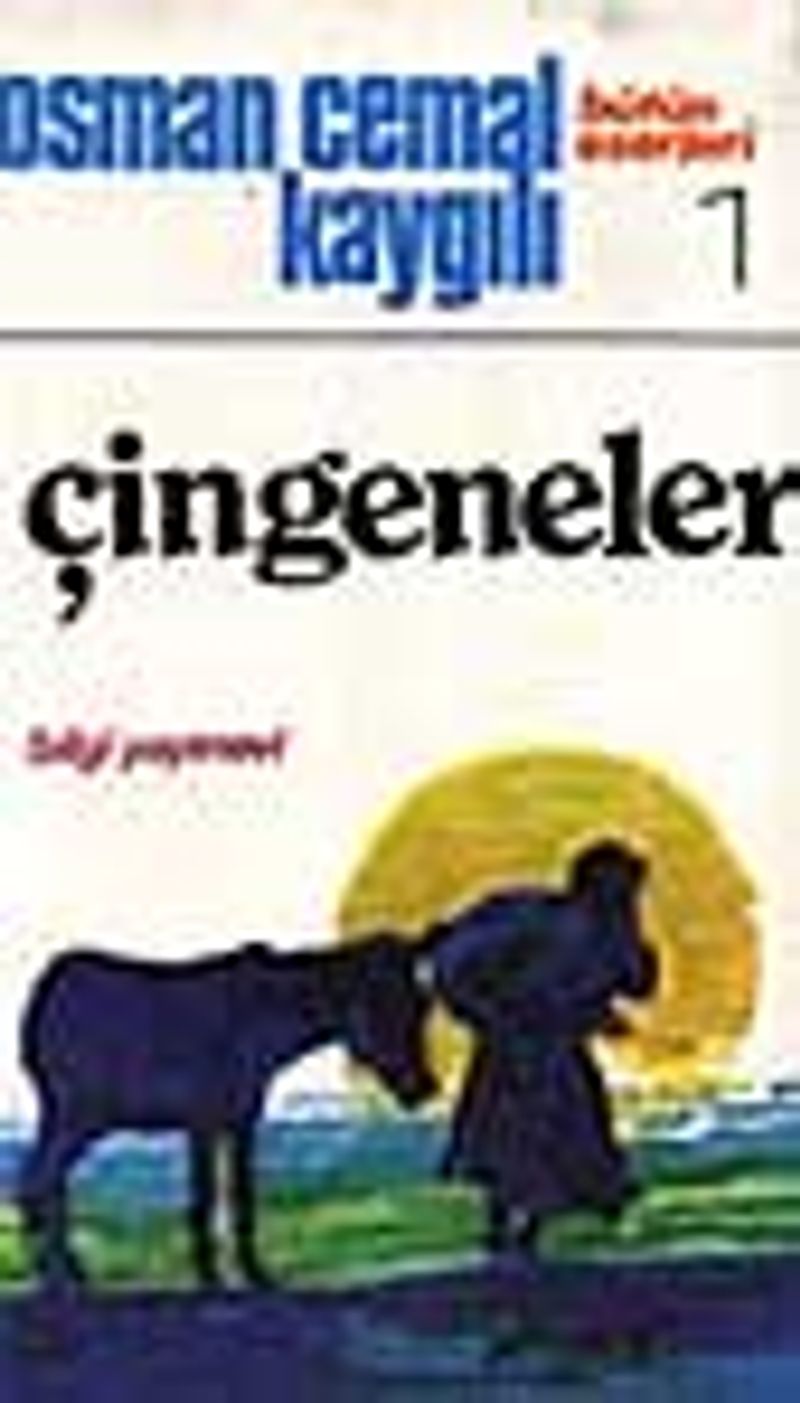 Çingeneler kitap kapağı