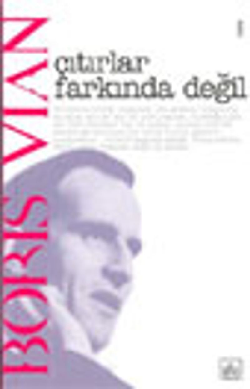 Çıtırlar Farkında Değil kitap kapağı
