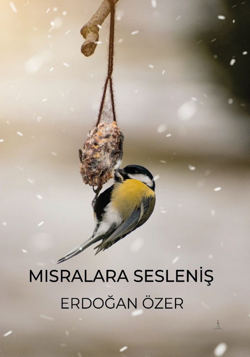 Mısralara Sesleniş kitap kapağı