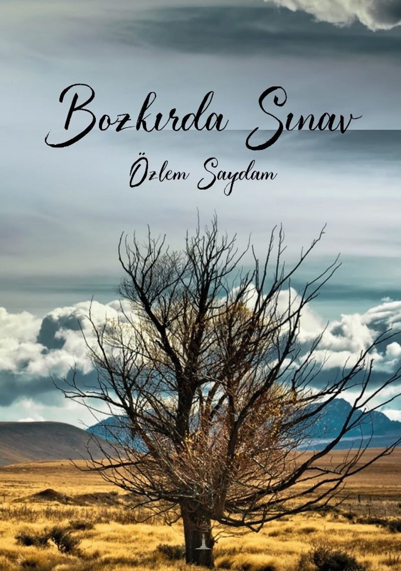 Bozkırda Sınav kitap kapağı