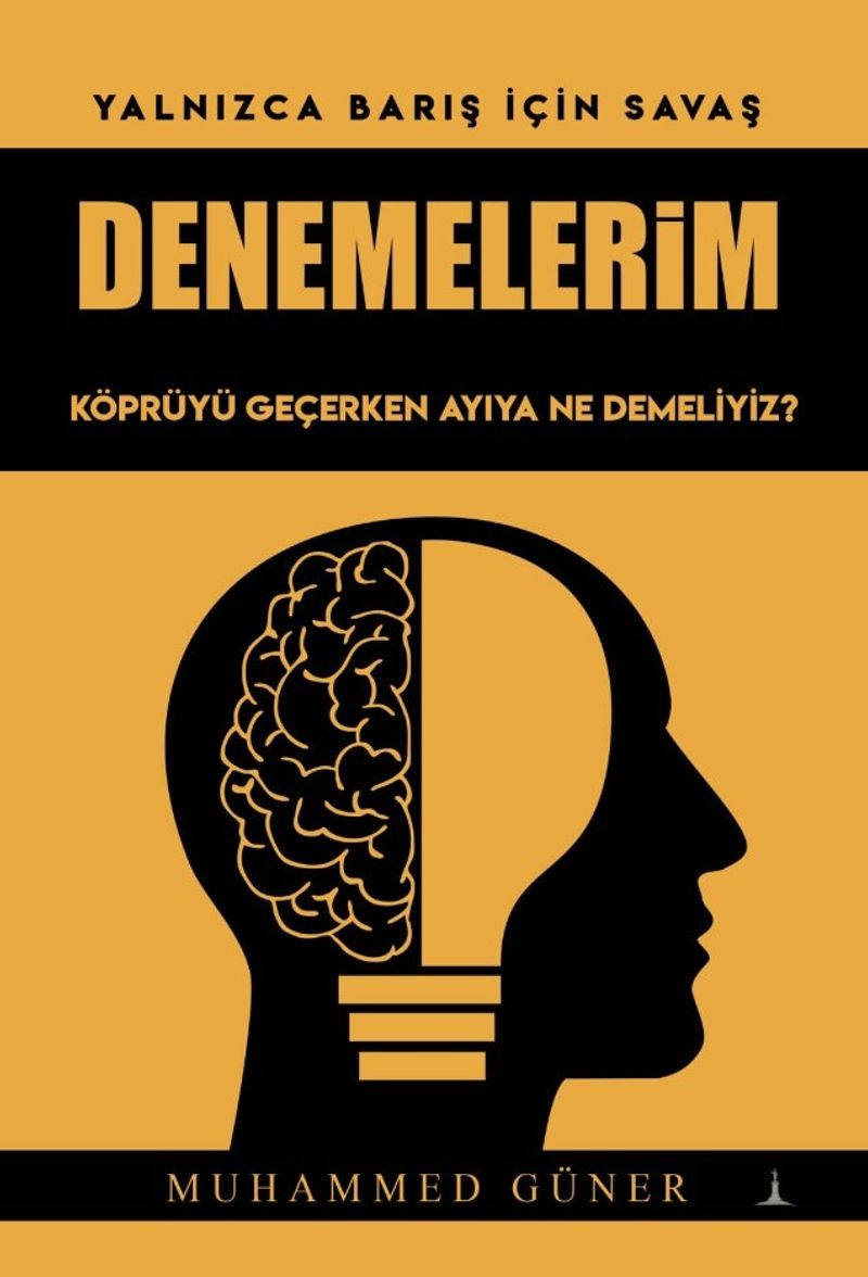 Denemelerim kitap kapağı