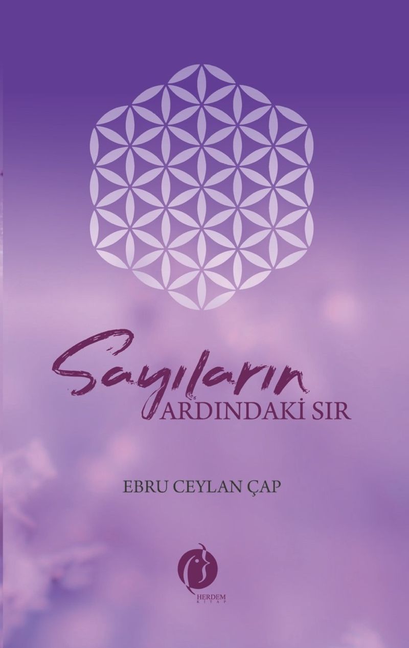 Sayıların Ardındaki Sır kitap kapağı