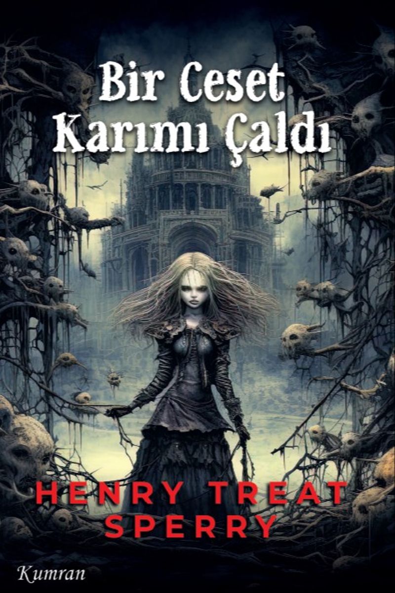 Bir Ceset Karımı Çaldı kitap kapağı