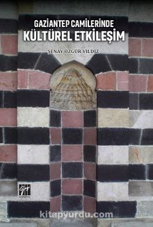 Gaziantep Camilerinde Kültürel Etkileşim kitap kapağı