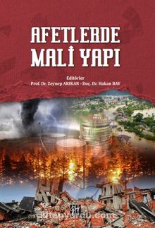 Afetlerde Mali Yapı kitap kapağı