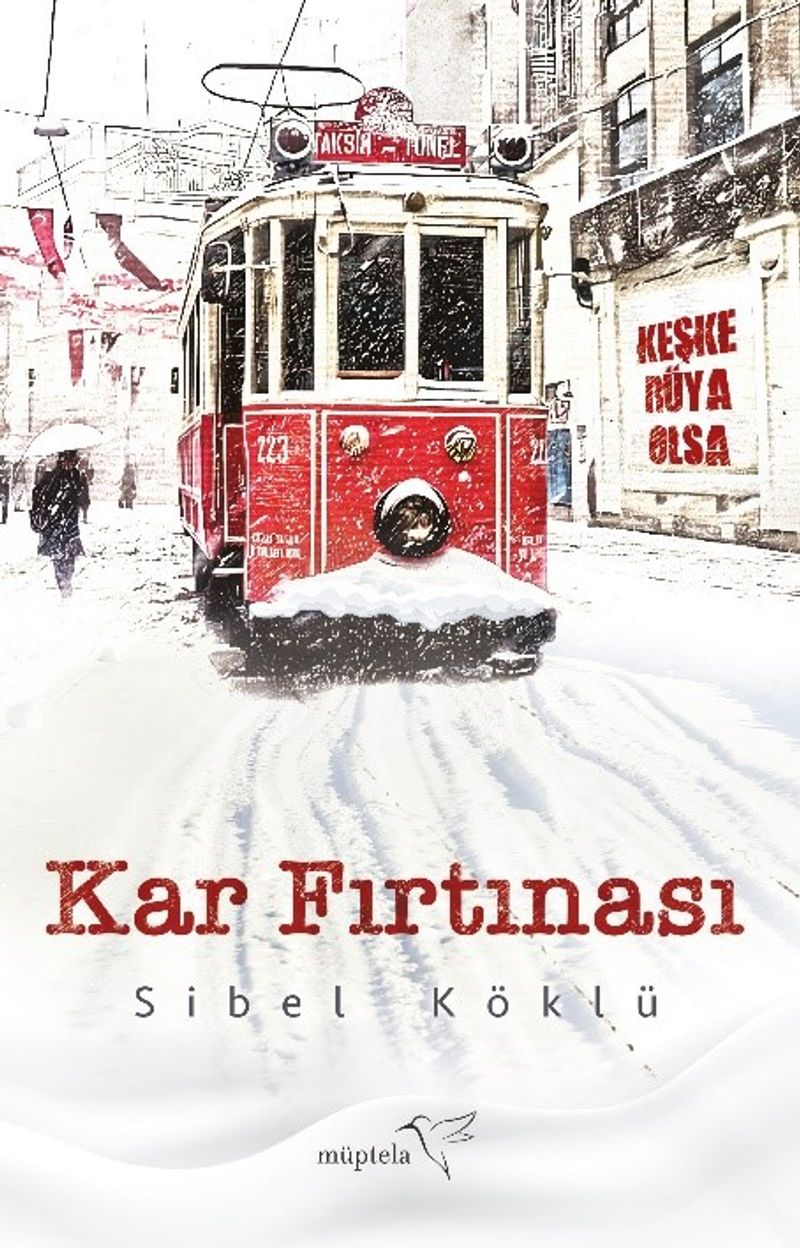 Kar Fırtınası kitap kapağı