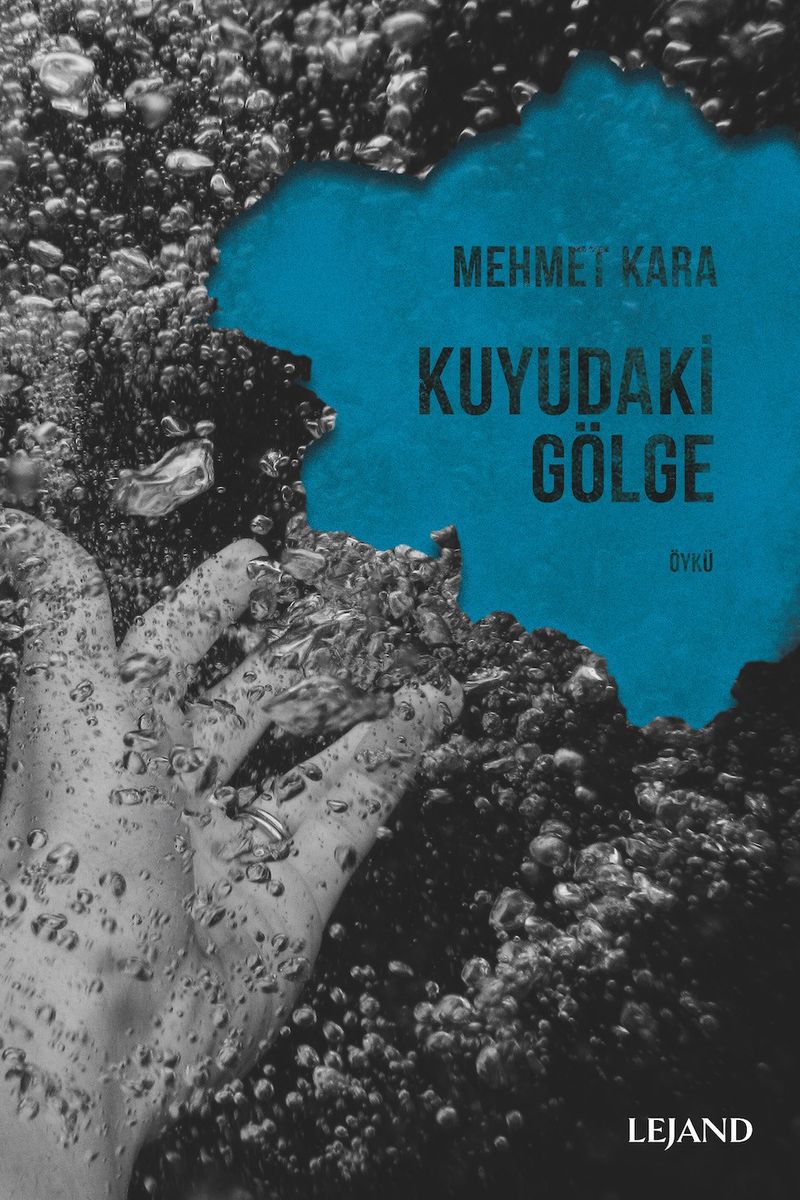 Kuyudaki Gölge kitap kapağı