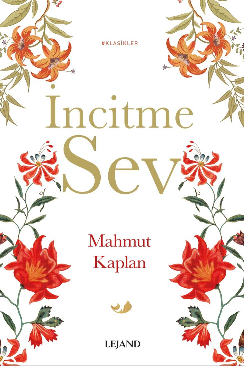 İncitme Sev kitap kapağı