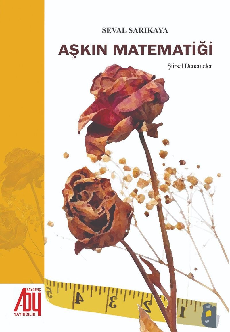Aşkın Matematiği kitap kapağı