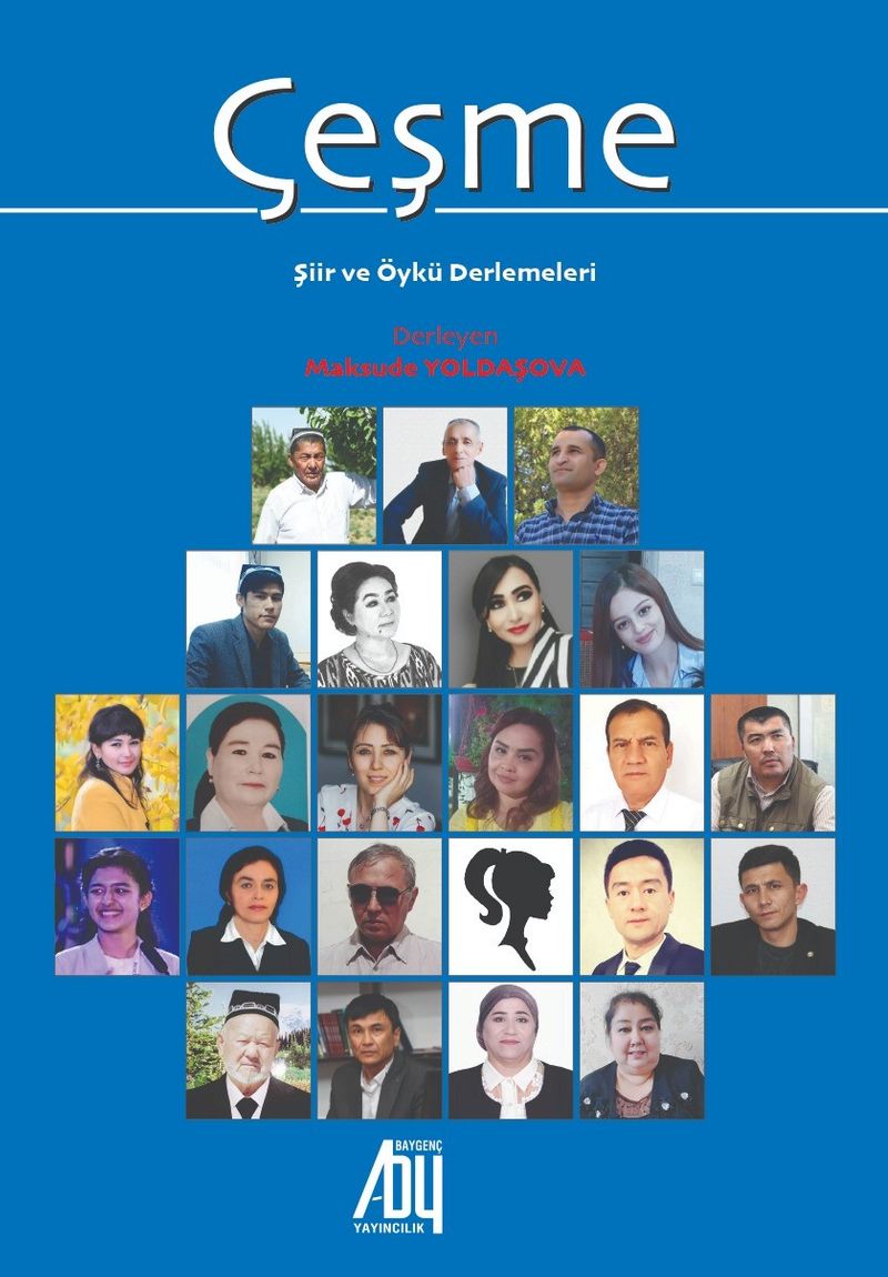 Çeşme kitap kapağı