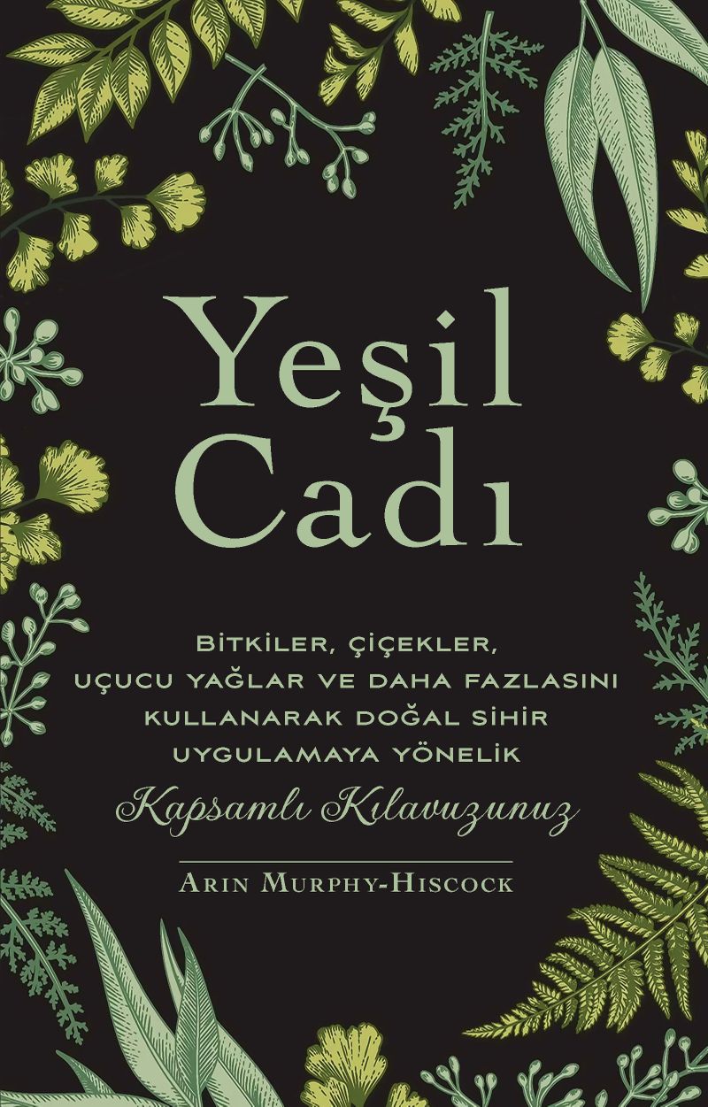 Yeşil Cadı kitap kapağı
