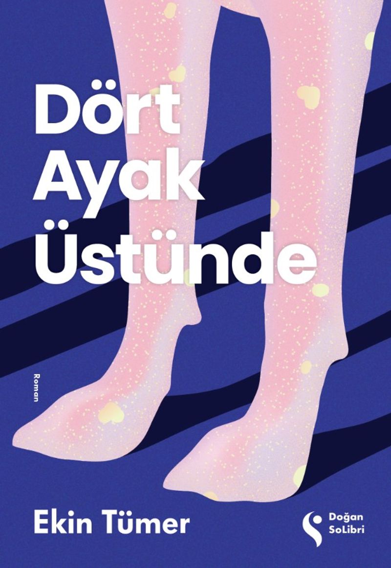 Dört Ayak Üstünde kitap kapağı