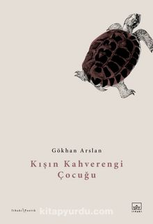 Kışın Kahverengi Çocuğu kitap kapağı