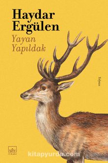 Yayan Yapıldak kitap kapağı