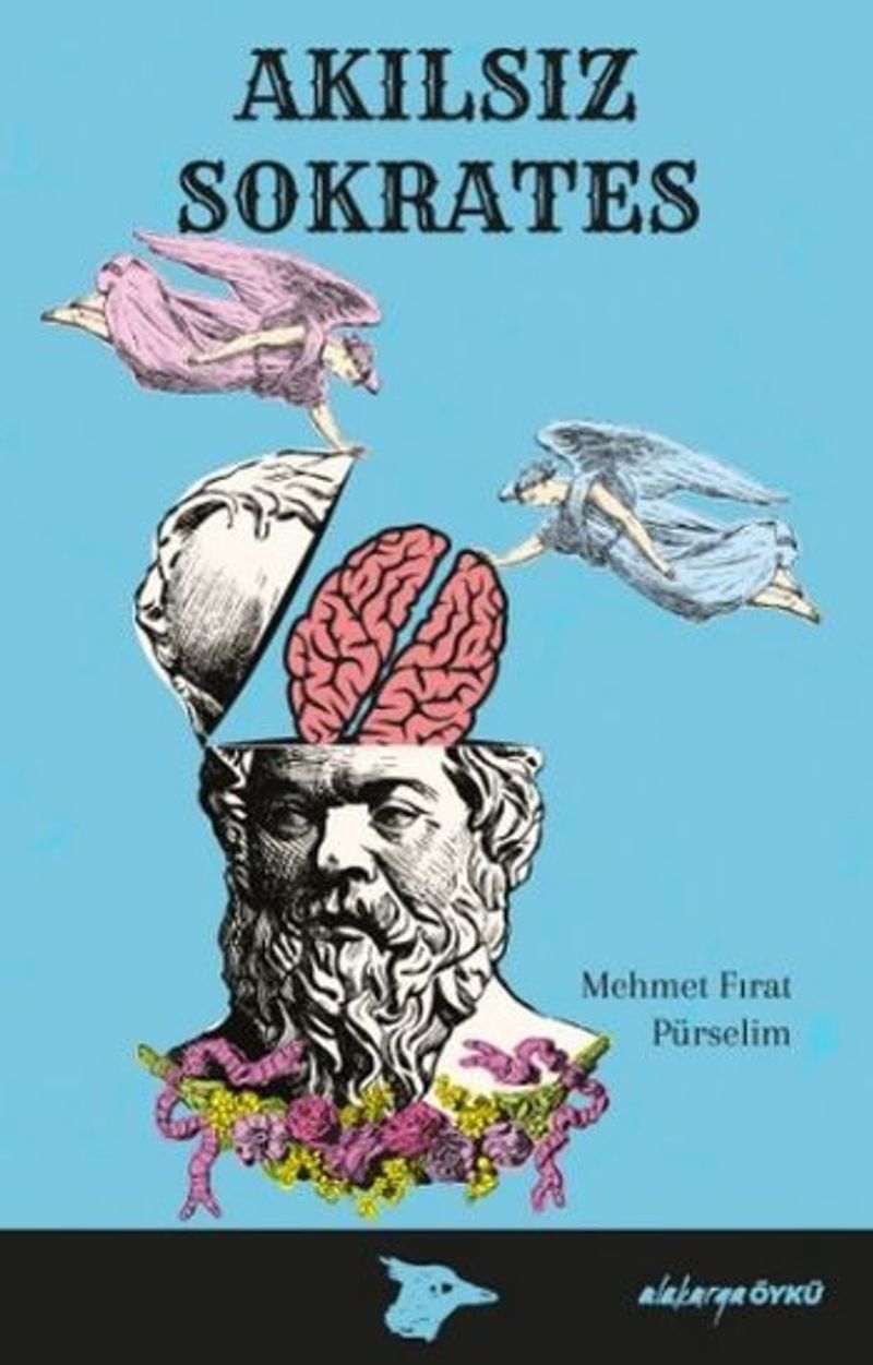 Akılsız Sokrates kitap kapağı
