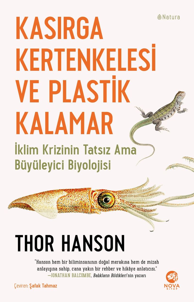 Kasırga Kertenkelesi ve Plastik Kalamar kitap kapağı