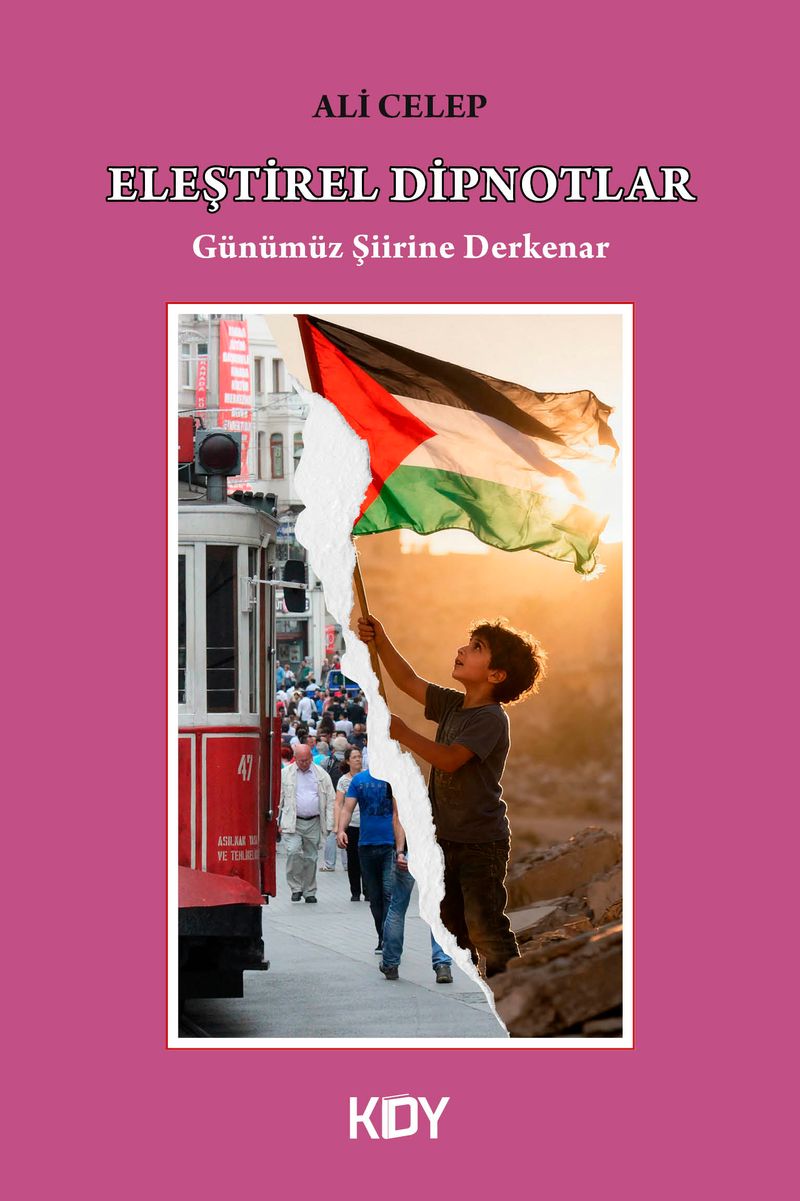 Eleştirel Dipnotlar kitap kapağı