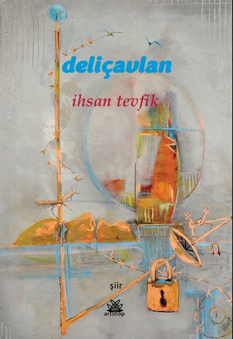 Deli Çavlan kitap kapağı