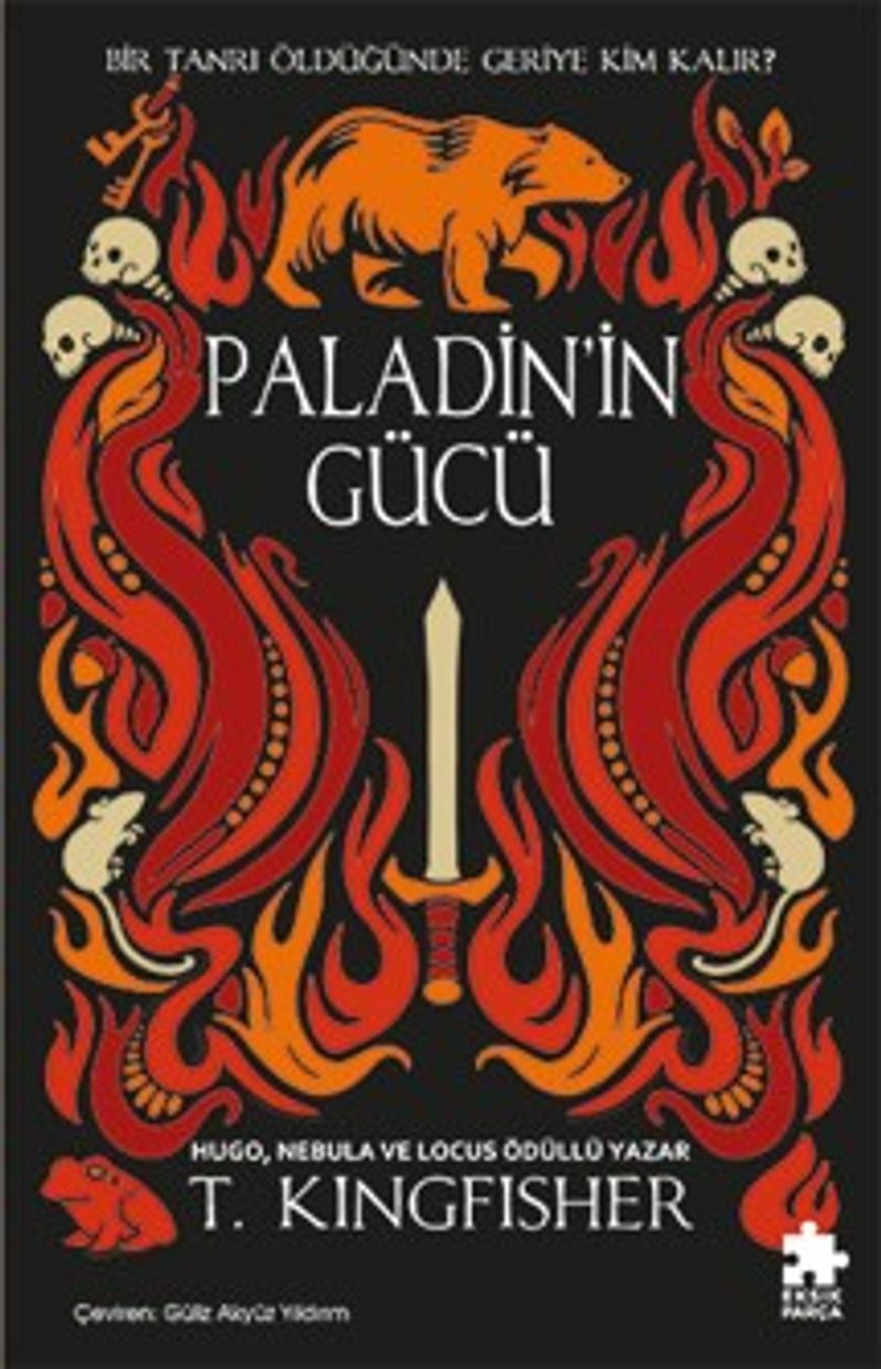 Paladin'in Gücü / Çeliğin Azizi Serisi 2 kitap kapağı