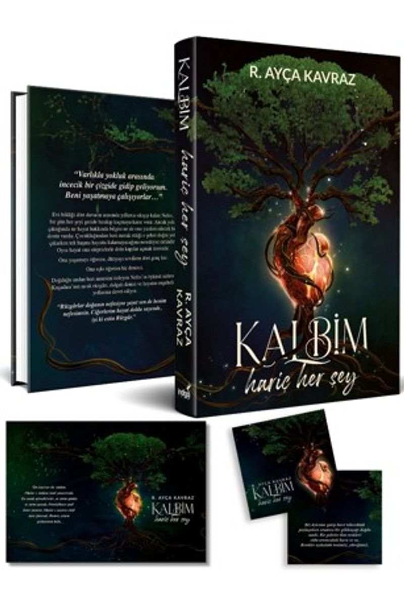 Kalbim Hariç Her Şey kitap kapağı