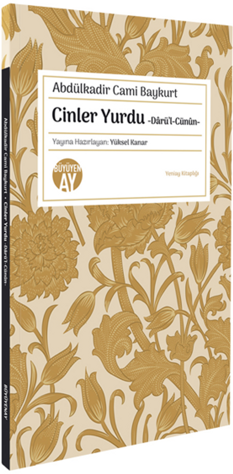 Cinler Yurdu - Darü'l-Cünûn kitap kapağı