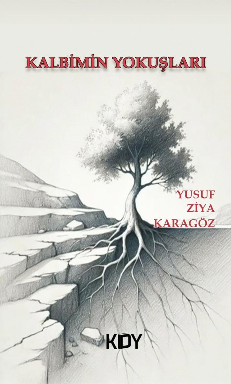 Kalbimin Yokuşları kitap kapağı