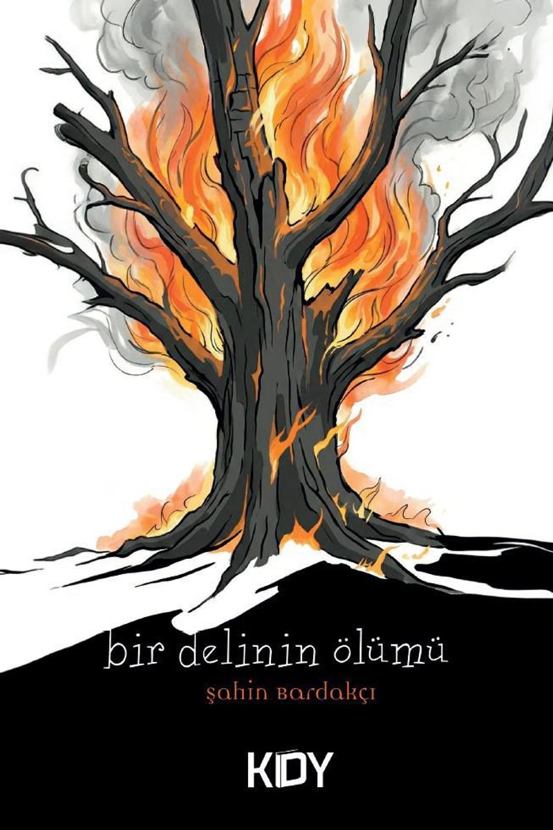 Bir Delinin Ölümü kitap kapağı