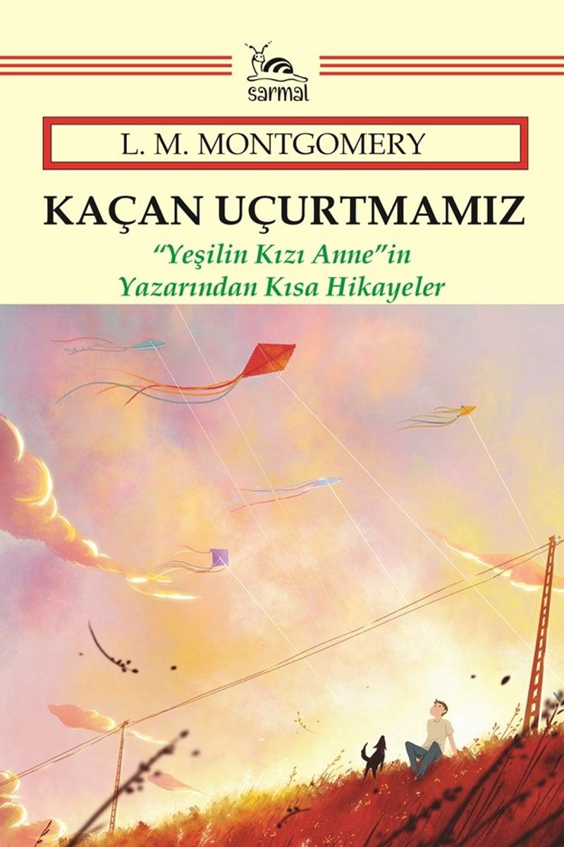 Kaçan Uçurtmamız kitap kapağı