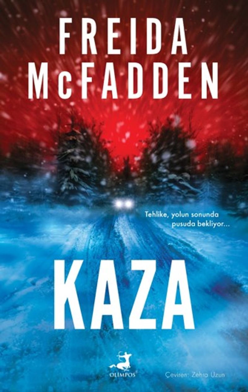 Kaza kitap kapağı