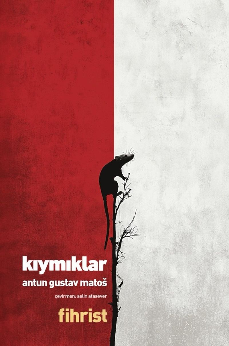 Kıymıklar kitap kapağı