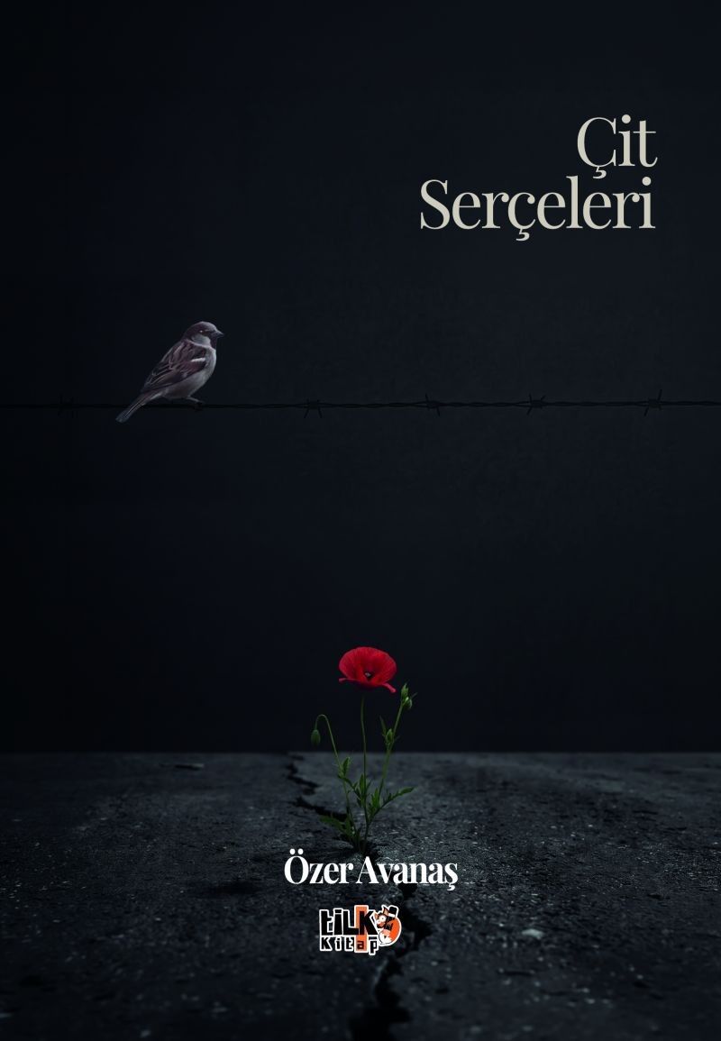 Çit Serçeleri kitap kapağı