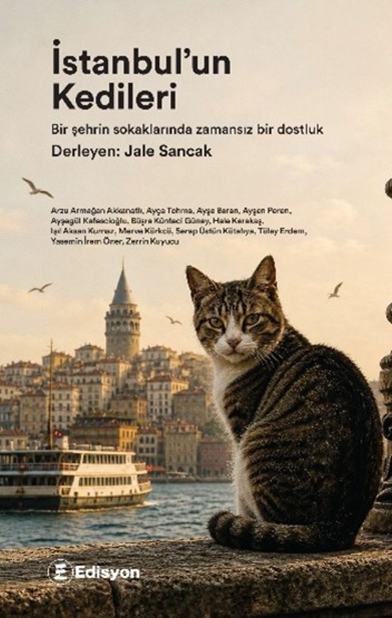 İstanbul'un Kedileri kitap kapağı