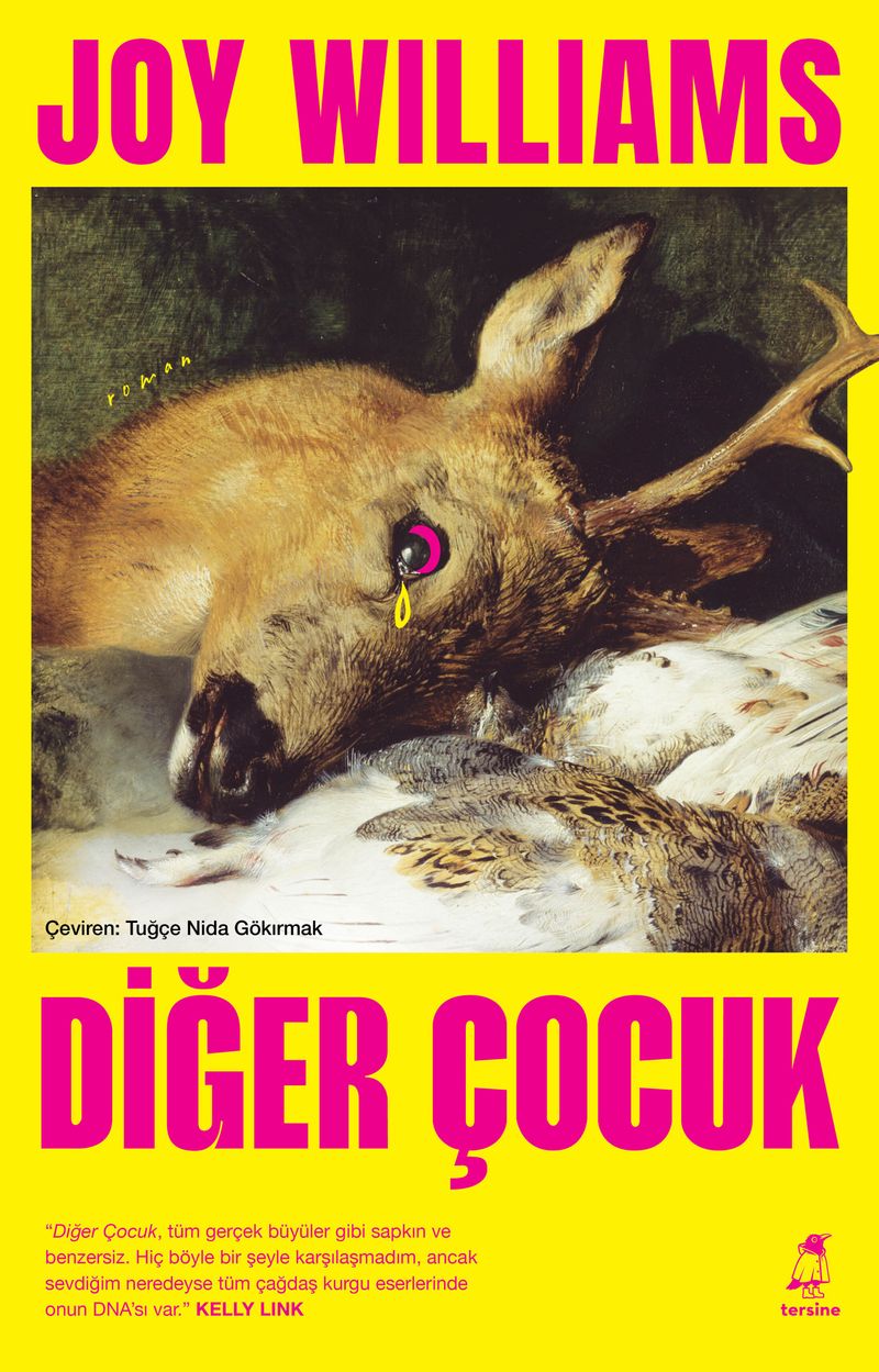 Diğer Çocuk kitap kapağı
